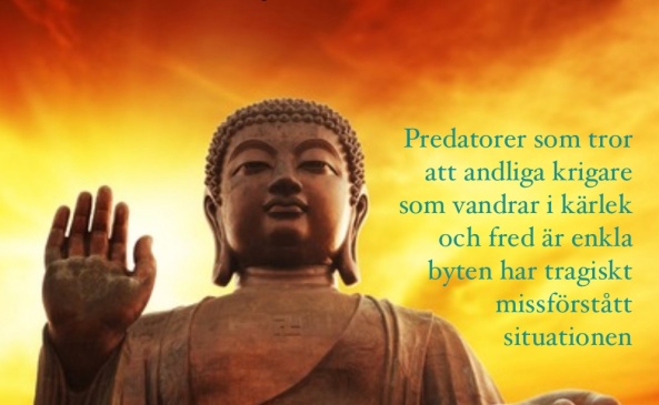 buddha_andlig krigare1